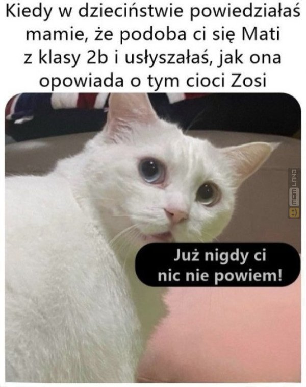 Śmieszny mem: 6761412 - MemLand