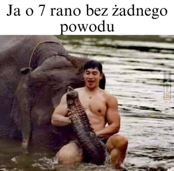 Śmieszny mem: 6764550 - MemLand