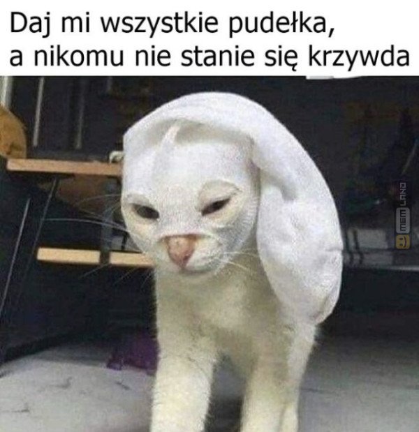 Śmieszny mem: 6767308 - MemLand