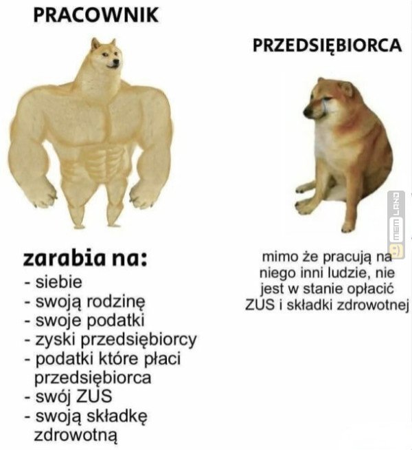 Śmieszny mem: 6769064 - MemLand