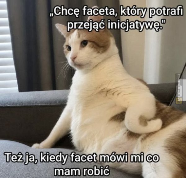 Śmieszny mem: 6769431 - MemLand