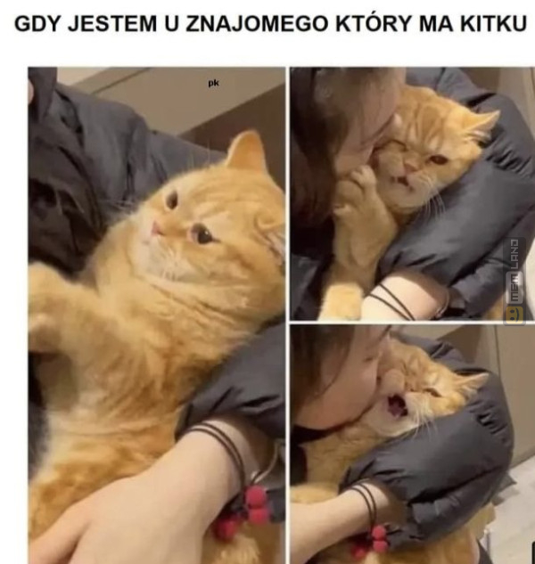 Śmieszny mem: 6771271 - MemLand