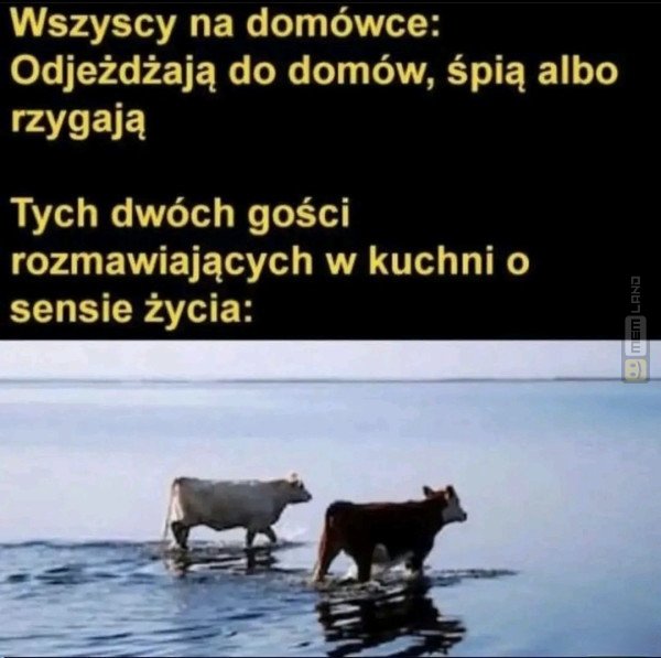 Śmieszny mem: 6779847 - MemLand