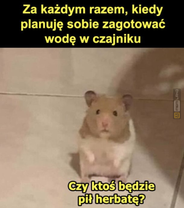 Śmieszny mem: 6781293 - MemLand