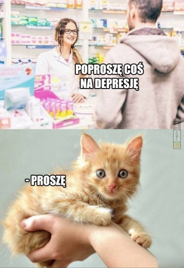 Śmieszny mem: 6783502 - MemLand