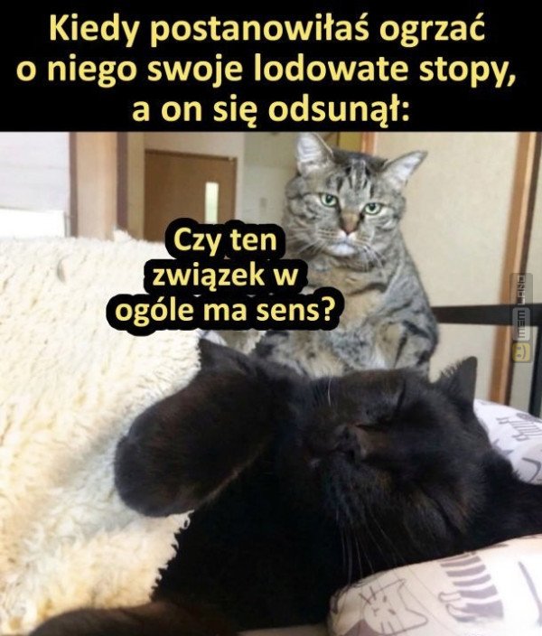 Śmieszny mem: 6802348 - MemLand