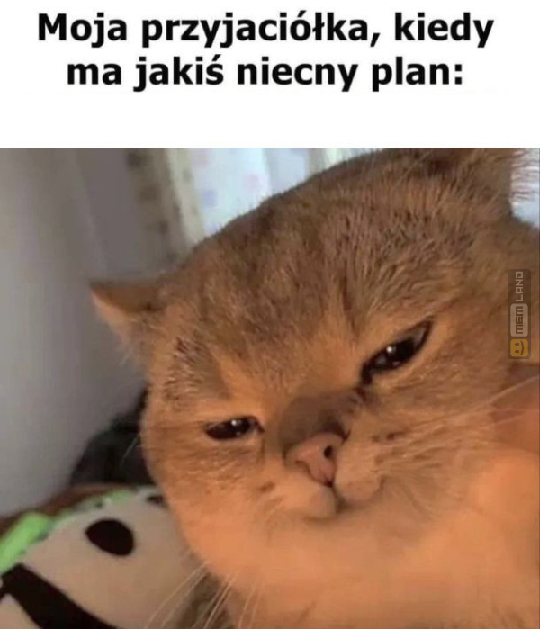 Śmieszny mem: 6803938 - MemLand