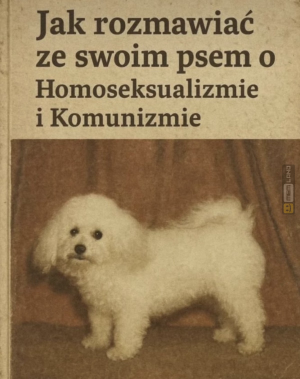 Śmieszny mem: 6807540 - MemLand