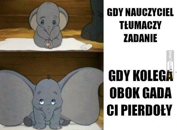 Śmieszny mem: 6812454 - MemLand
