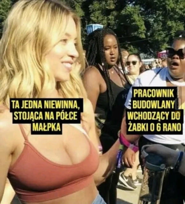 Śmieszny mem: 6813103 - MemLand