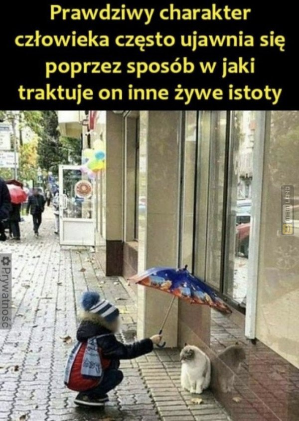 Śmieszny mem: 6821069 - MemLand