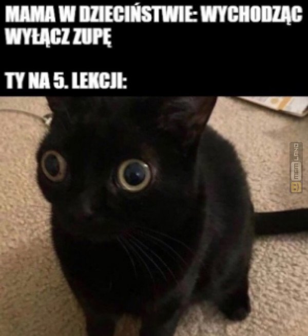 Śmieszny mem: 6824231 - MemLand