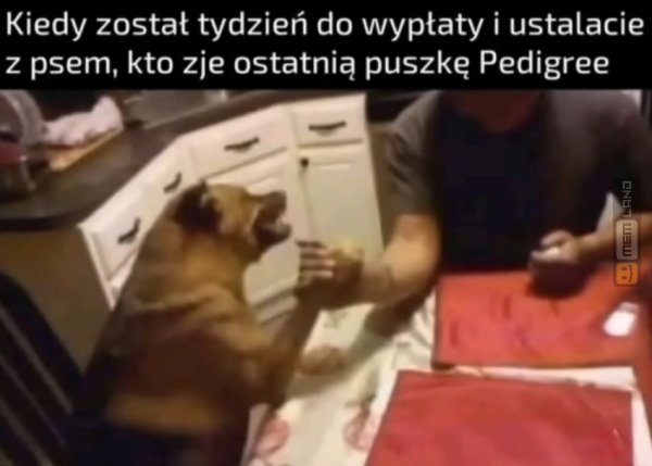 Śmieszny mem: 6830313 - MemLand