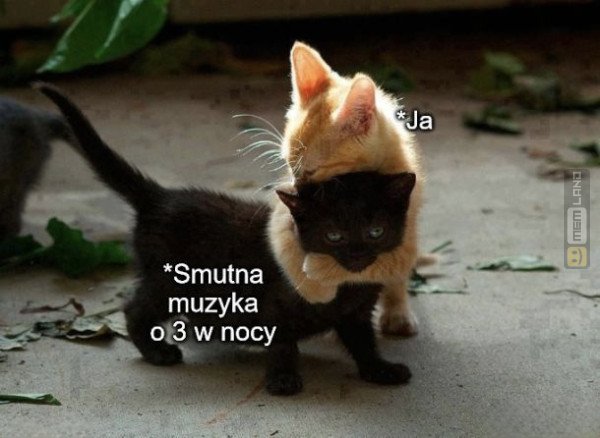 Śmieszny mem: 6843510 - MemLand