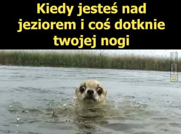 Śmieszny mem: 6843890 - MemLand