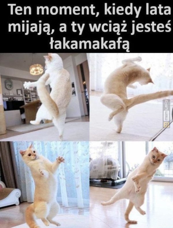 Śmieszny mem: 6847528 - MemLand