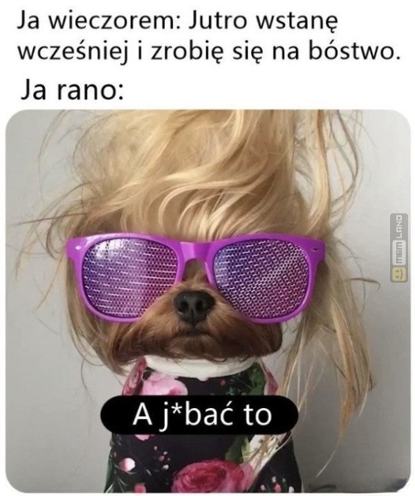 Śmieszny mem: 6853566 - MemLand