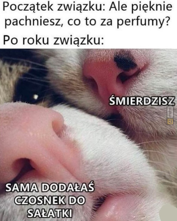 Śmieszny mem: 6858962 - MemLand