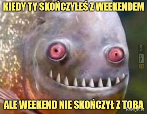 Śmieszny mem: 6861791 - MemLand