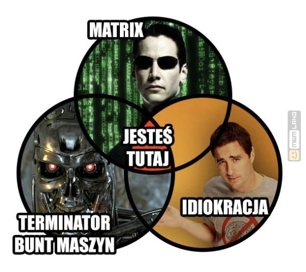 Śmieszny mem: 6862239 - MemLand