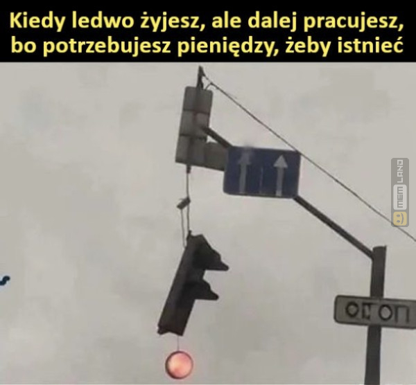 Śmieszny mem: 6863005 - MemLand