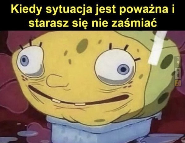 Śmieszny mem: 6868134 - MemLand