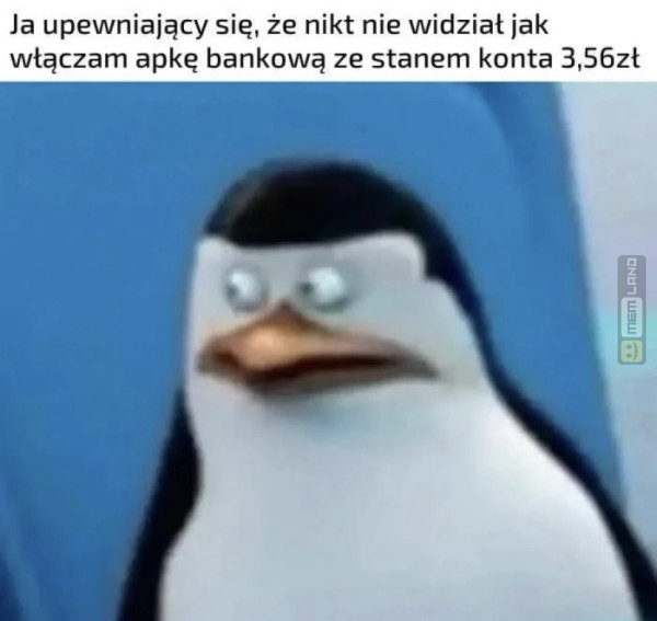 Śmieszny mem: 6873995 - MemLand