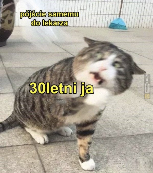 Śmieszny mem: 6877953 - MemLand