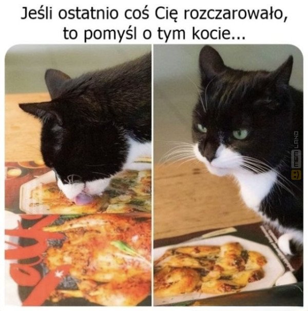 Śmieszny mem: 6878117 - MemLand