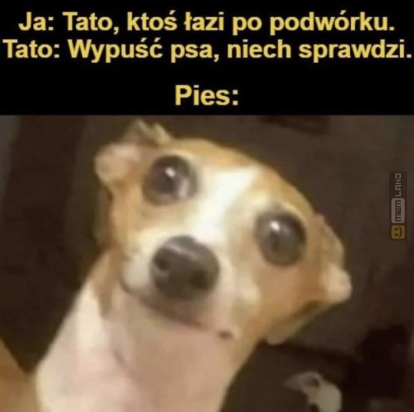 Śmieszny mem: 6879223 - MemLand