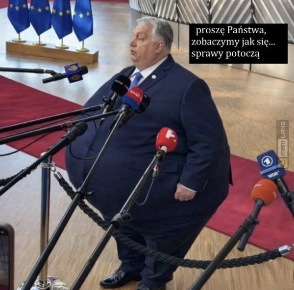 Śmieszny mem: 6881673 - MemLand