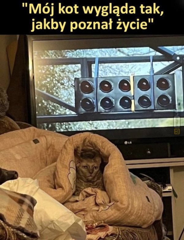 Śmieszny mem: 6893307 - MemLand