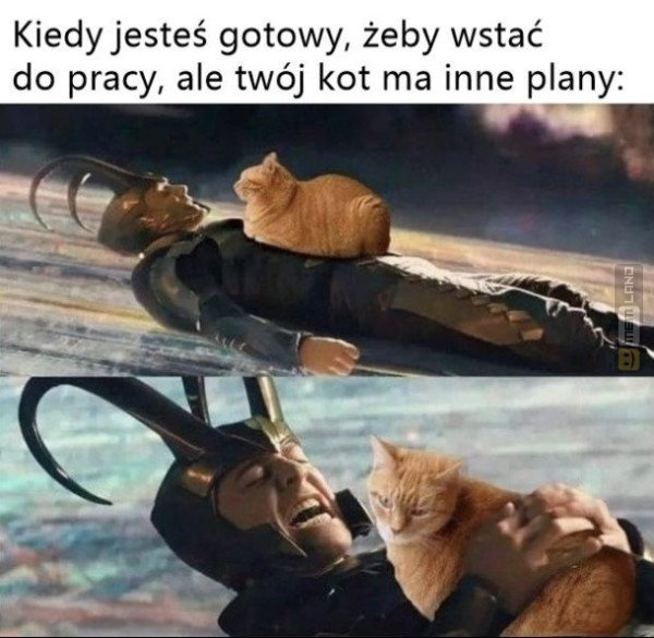 Śmieszny mem: 6894490 - MemLand