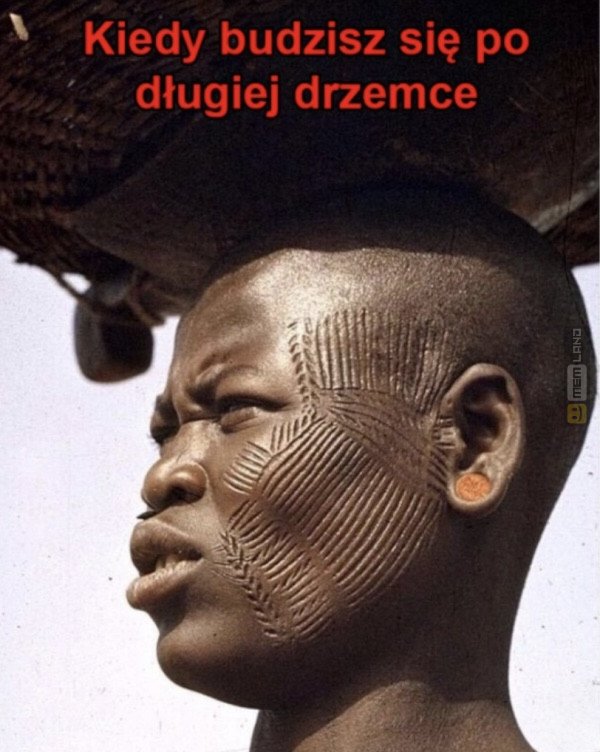 Śmieszny mem: 6897207 - MemLand