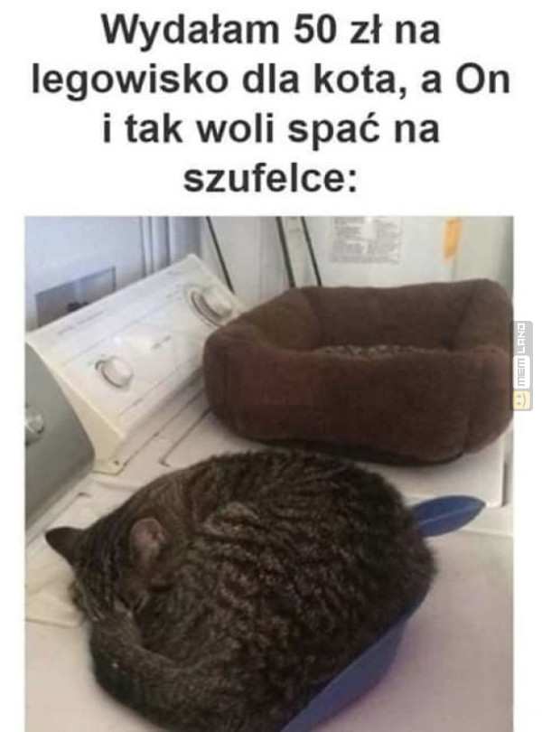 Śmieszny mem: 6899448 - MemLand