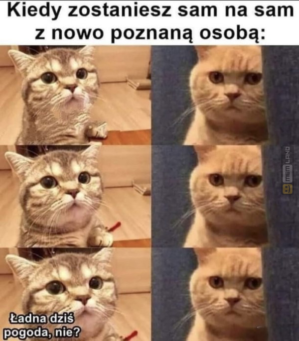 Śmieszny mem: 6900250 - MemLand