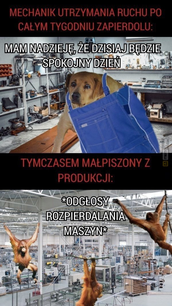 Śmieszny mem: 6900801 - MemLand