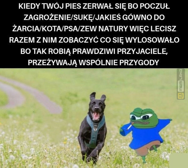 Śmieszny mem: 6903489 - MemLand