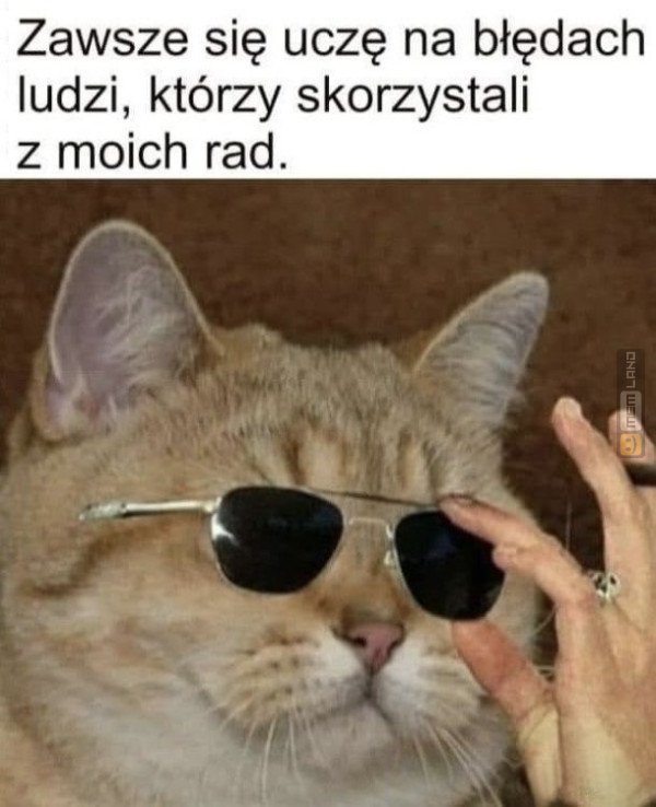 Śmieszny mem: 6909309 - MemLand