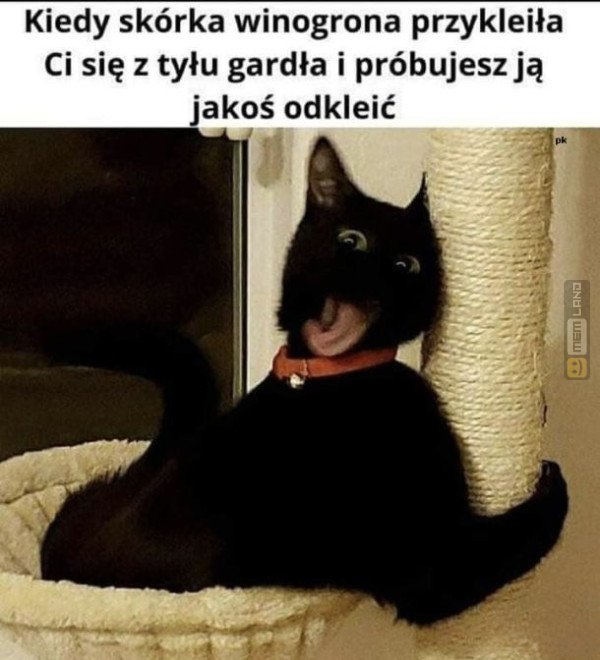 Śmieszny mem: 6914497 - MemLand