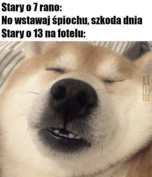 Śmieszny mem: 6914938 - MemLand