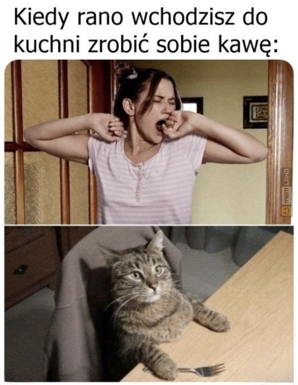 Śmieszny mem: 6922847 - MemLand