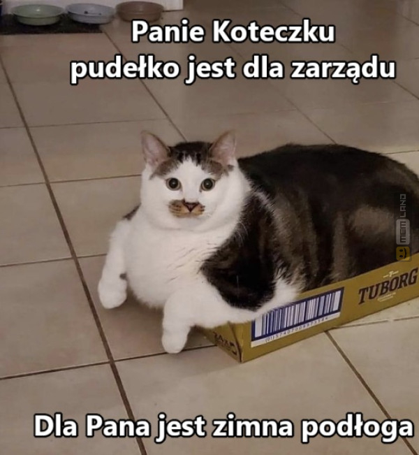 Śmieszny mem: 6927731 - MemLand