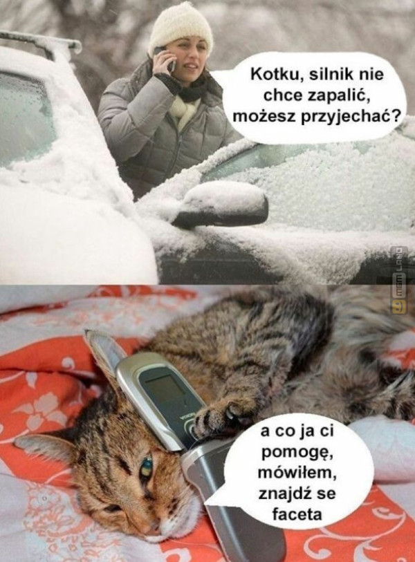 Śmieszny mem: 6936077 - MemLand