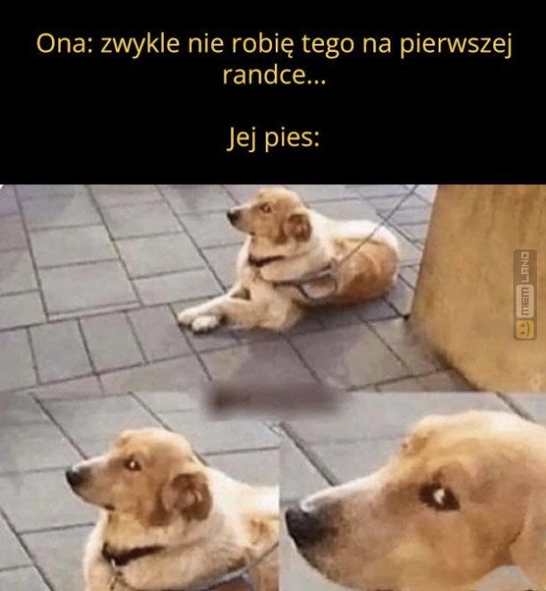 Śmieszny mem: 6950406 - MemLand