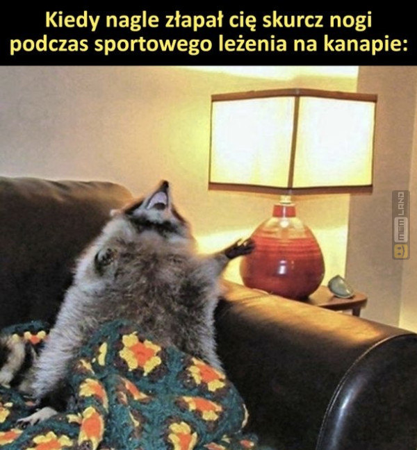 Śmieszny mem: 6954841 - MemLand