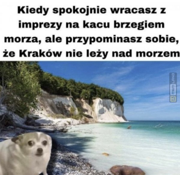Śmieszny mem: 6957176 - MemLand