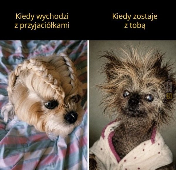 Śmieszny mem: 6963744 - MemLand