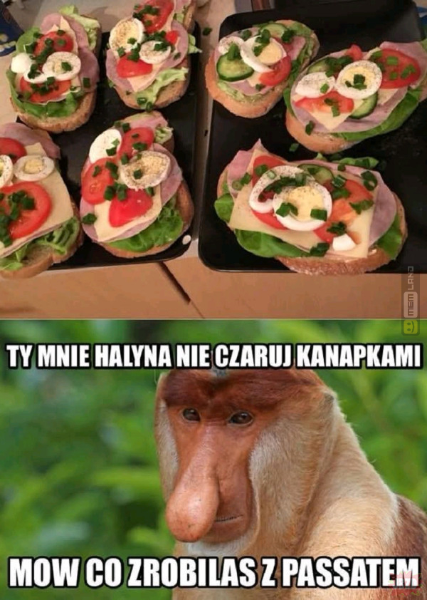 Śmieszny mem: 6964839 - MemLand