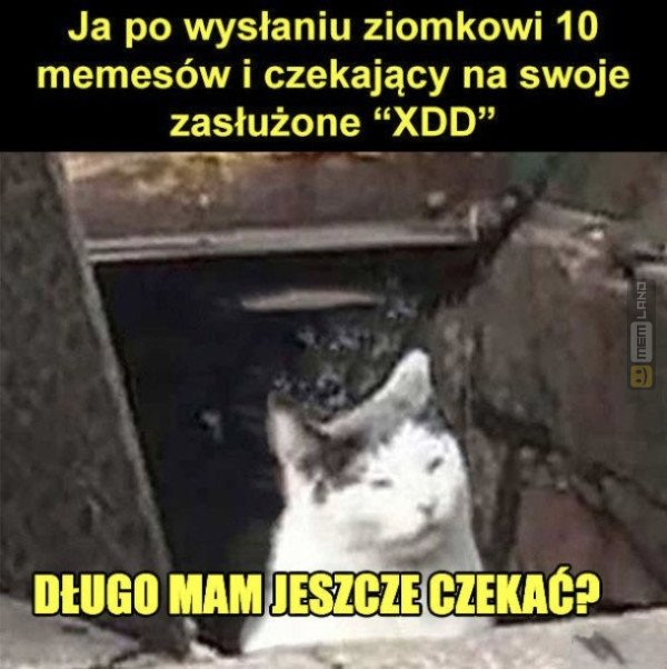 Śmieszny mem: 6965424 - MemLand